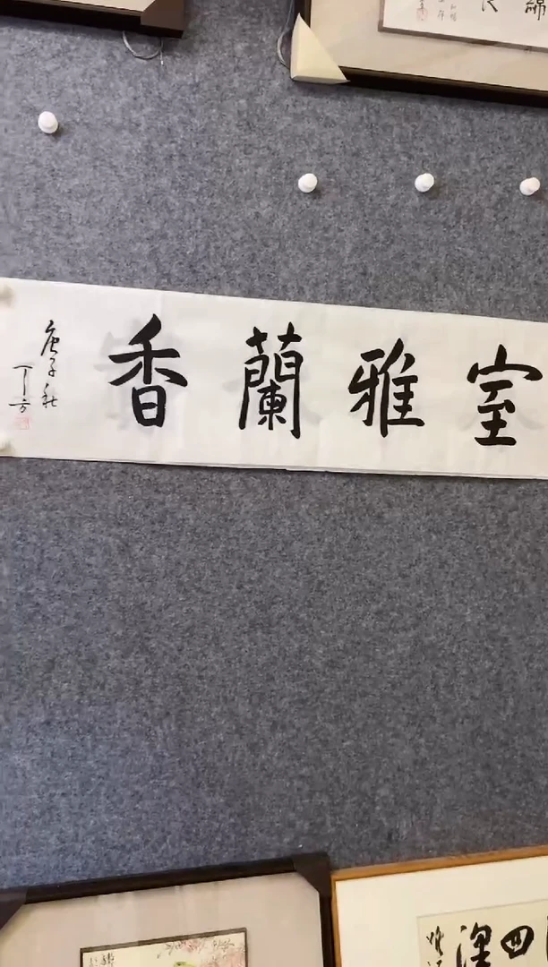 【闪购商品】书法DF软片 0004 室雅兰香