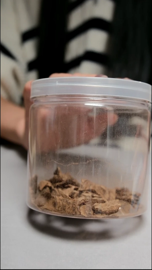 沉香沉香碎屑香港 虫漏 5g