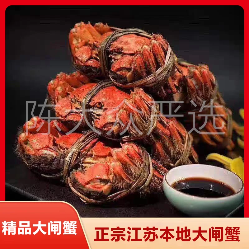 【活蟹全母大闸蟹】江苏大闸蟹2.3-2.7两 6只-10只鲜活发顺丰