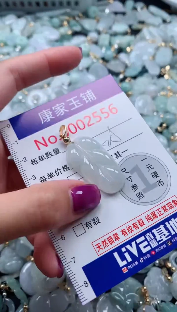 颈饰未镶嵌翡翠2556