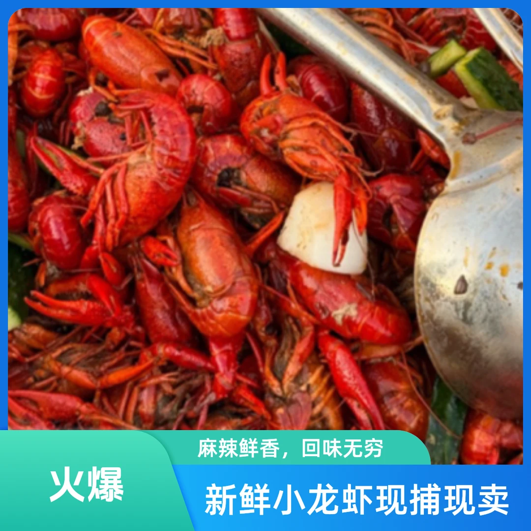 熟虾 6 斤小龙虾麻辣蒜香口味自选