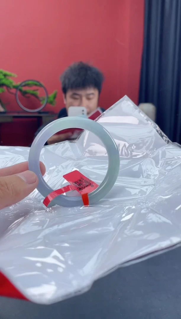 未镶嵌手镯翡翠4