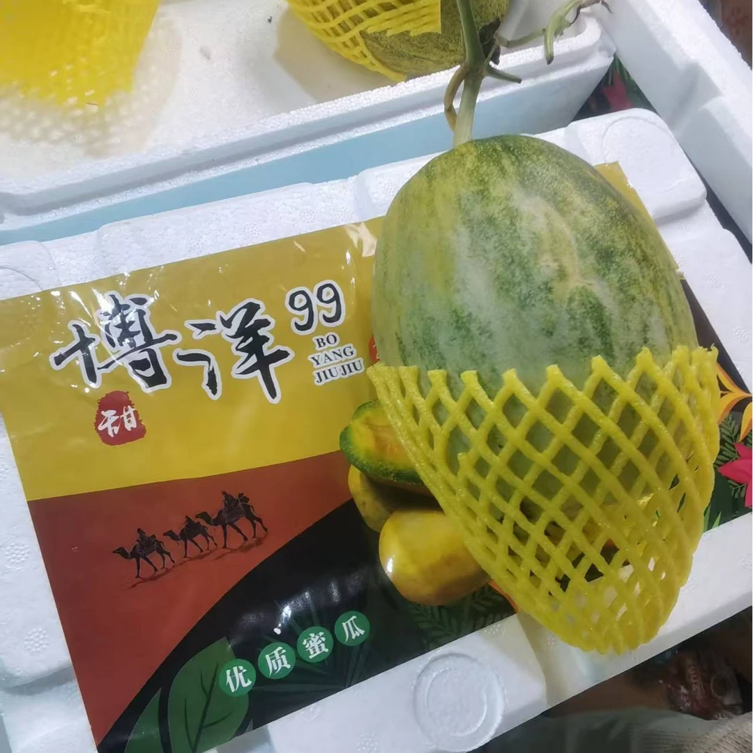 【泡沫箱】博洋99甜瓜带箱2.5斤左右