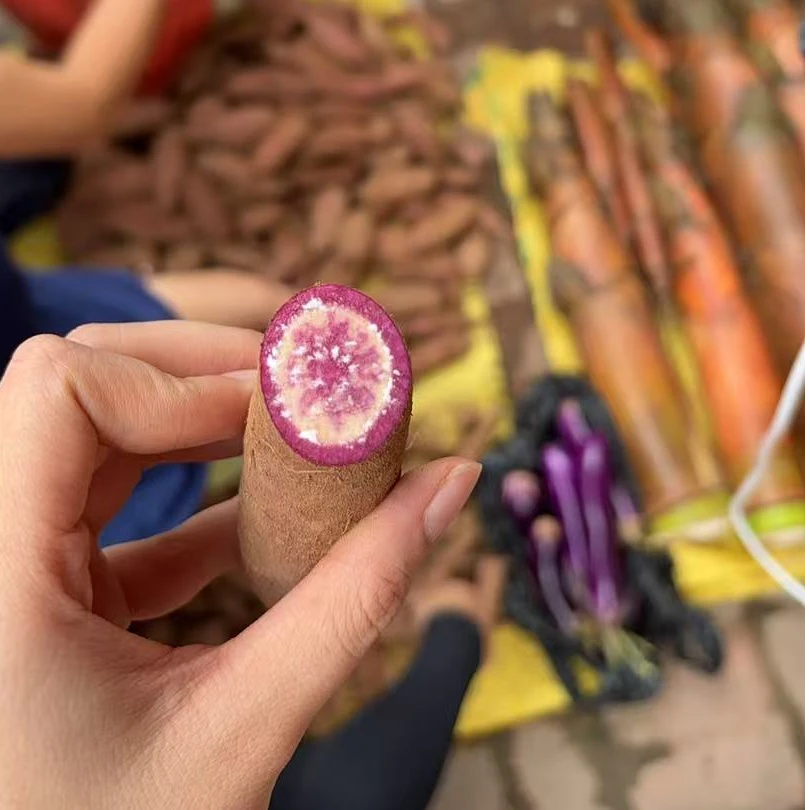 【现场收货】花薯中国邮政食用农产品1