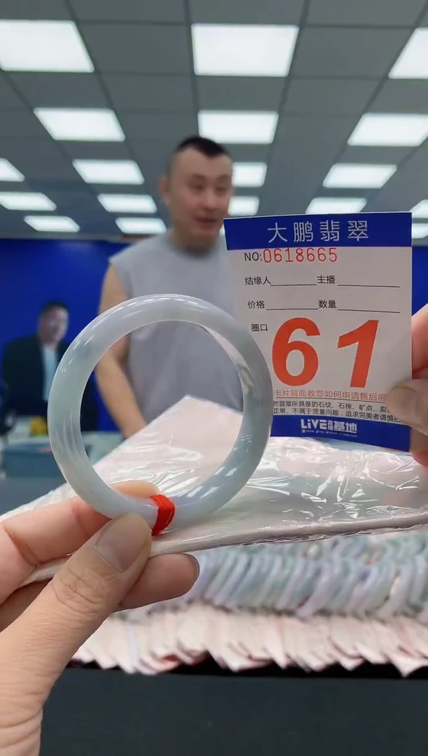 未镶嵌手镯翡翠AAAAAAAAA