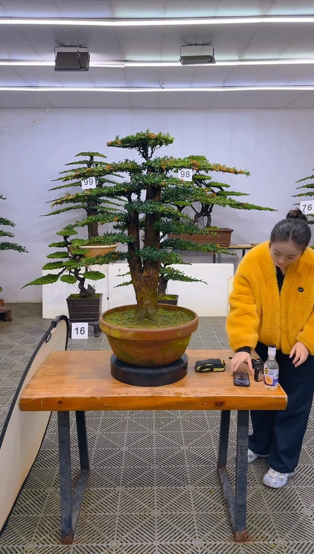 无花朵一物一拍一物一拍