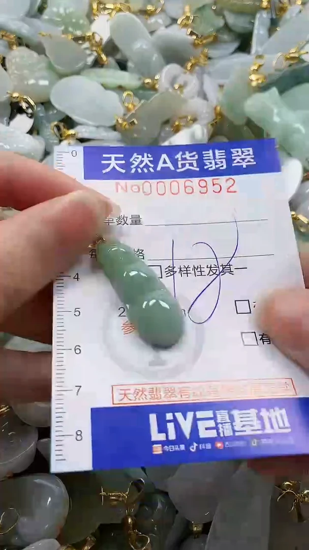 颈饰未镶嵌翡翠纯天然a货翡翠