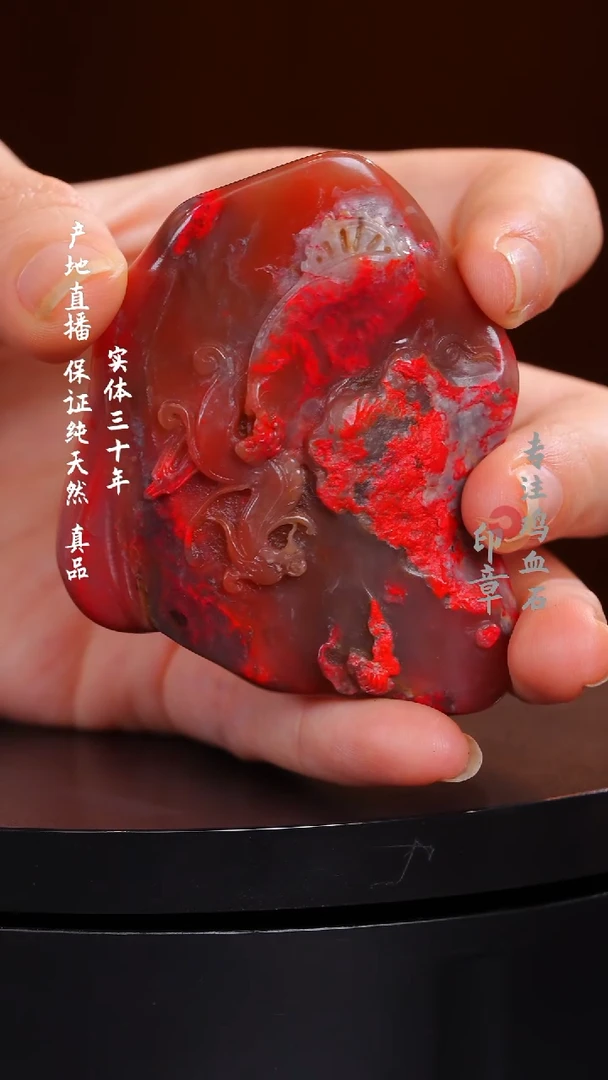 昌化石粉冻鸡血石