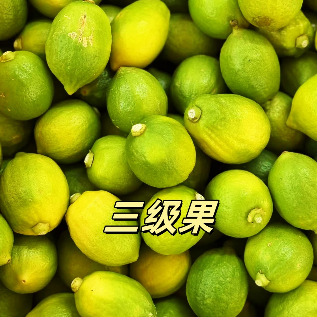 三级广东香水柠檬无籽香水柠檬手打柠檬茶奶茶店专用