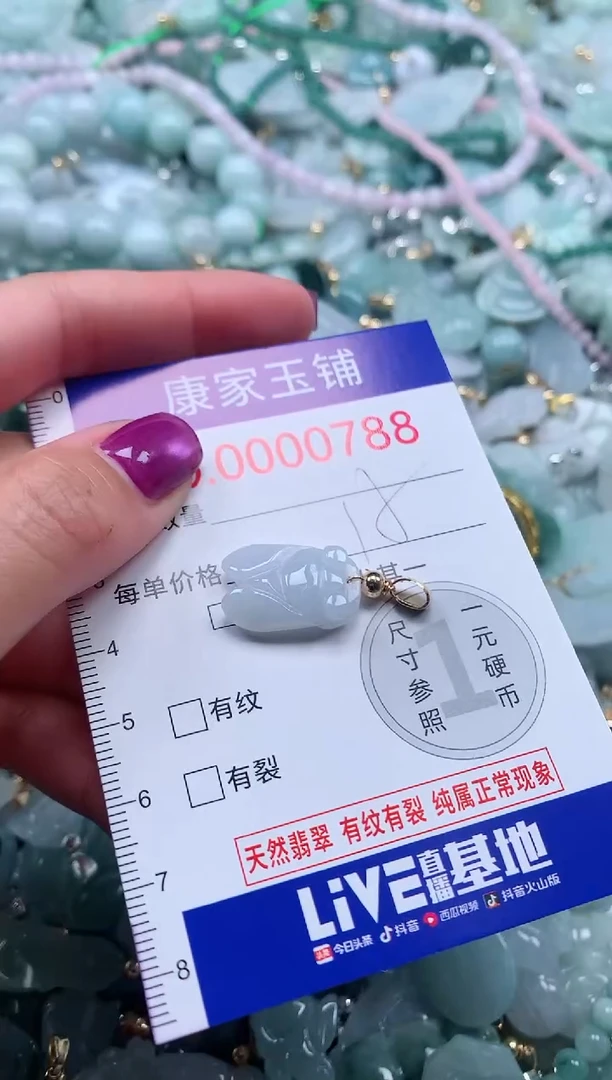 颈饰未镶嵌翡翠788