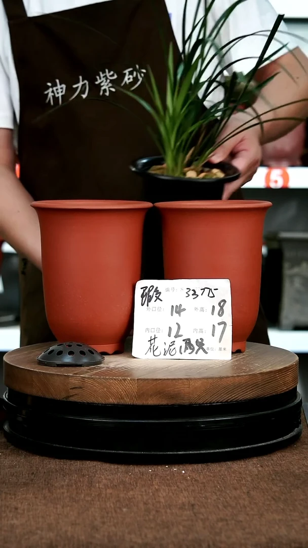 紫砂花盆花卉园艺33775