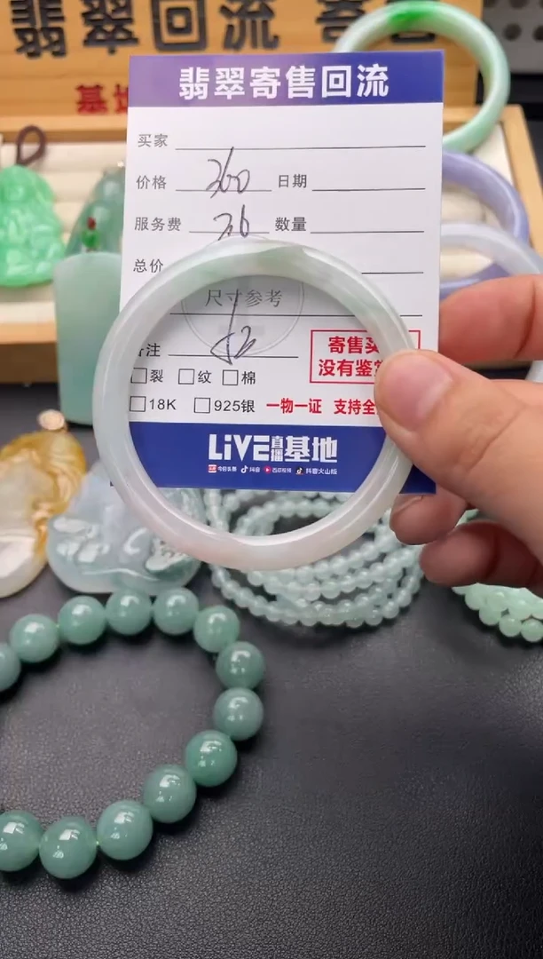 未镶嵌手镯翡翠10146934