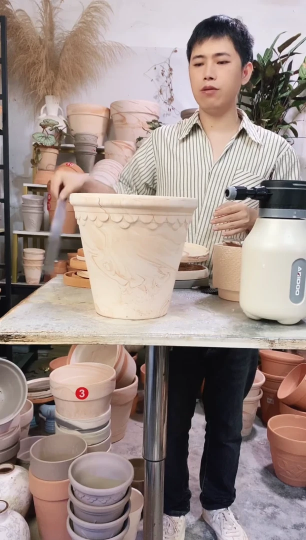 25*23玛奇朵巴洛克 1盆无托