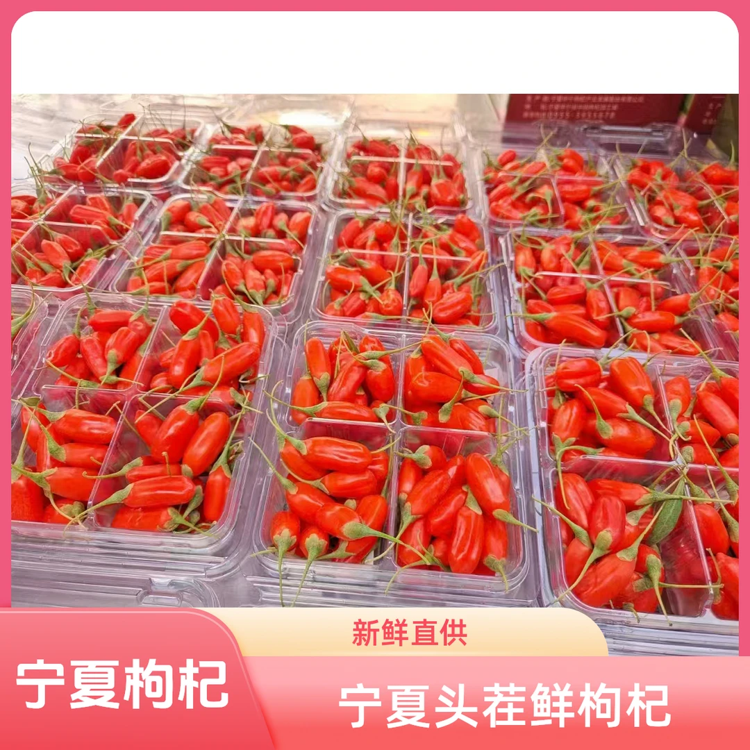 新鲜宁夏枸杞中宁头茬大果现摘直供口感好顺丰包邮