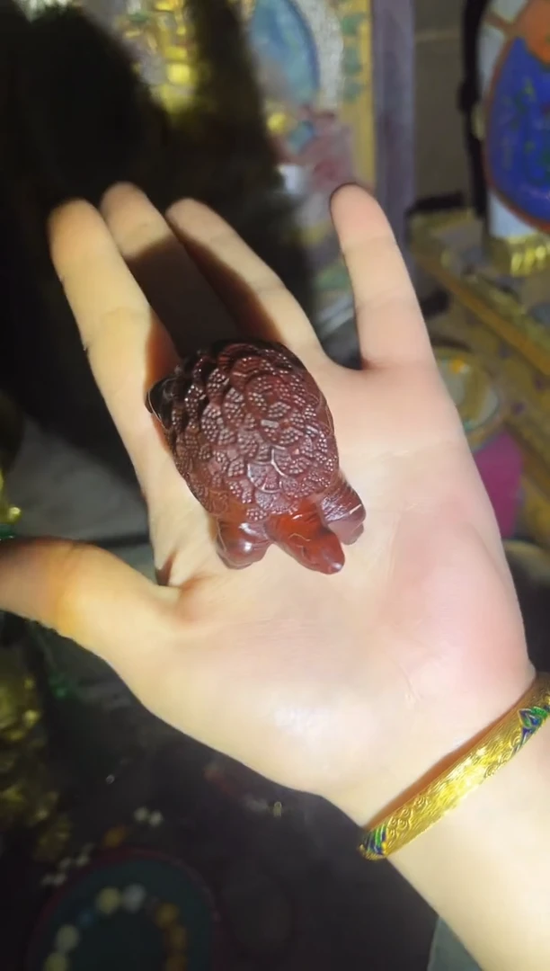 【闪购商品】香榧木11财财财财财财财财财财