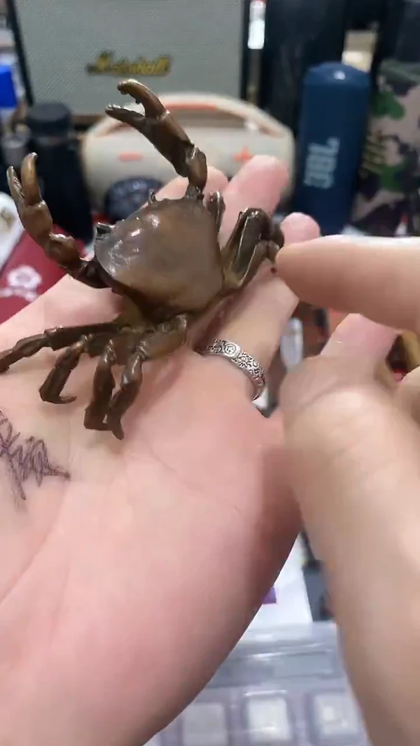 瓷片闪购商品 如图所示