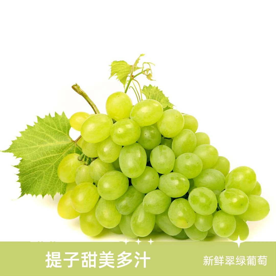 新疆无核白葡萄无籽提子装新鲜当季水果香甜多汁坏果包赔新疆维吾尔自治区
