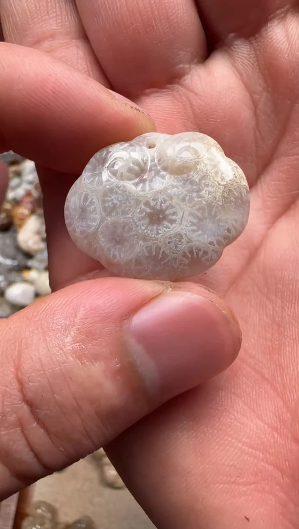 【闪购商品】硅化珊瑚（珊瑚玉）颈饰未镶嵌052