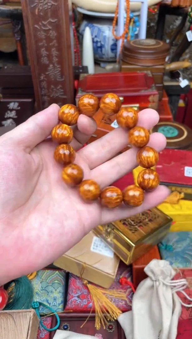 木-------------金海柳1.6