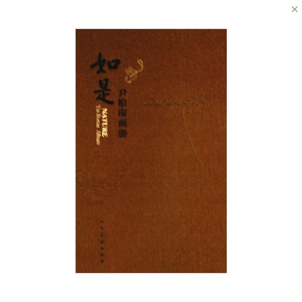 如是-尹柏南画册  正版【微瑕】