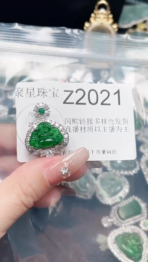 【闪购商品】翡翠颈饰未镶嵌赠皮绳2021