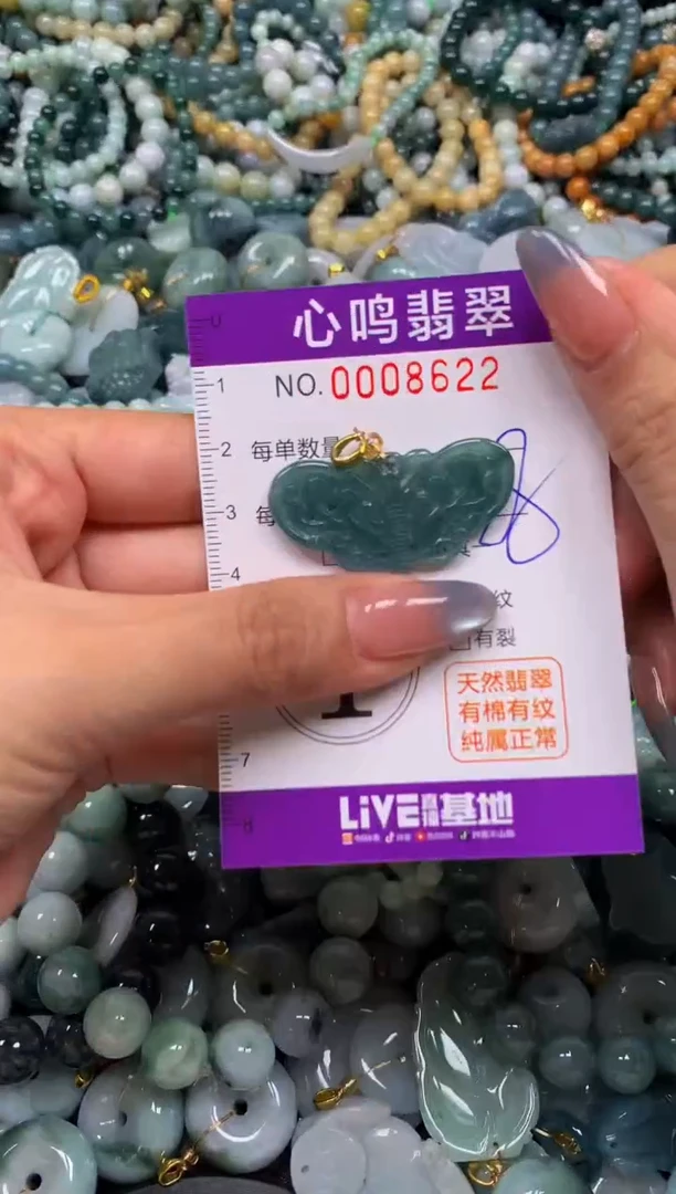 颈饰未镶嵌翡翠闪购008622