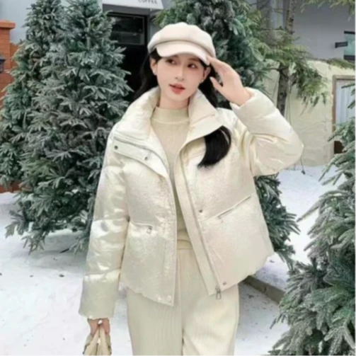 8269立领长袖保暖醋酸短款羽绒服外套