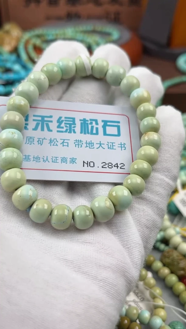 绿松石未镶嵌松石2842
