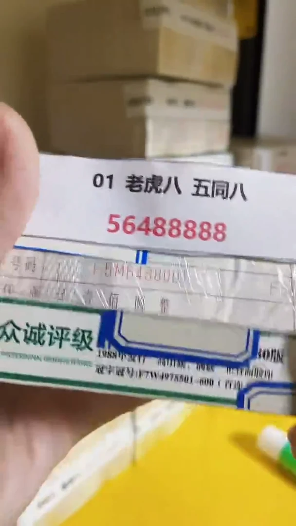 M  01 老虎八 五同八56488888