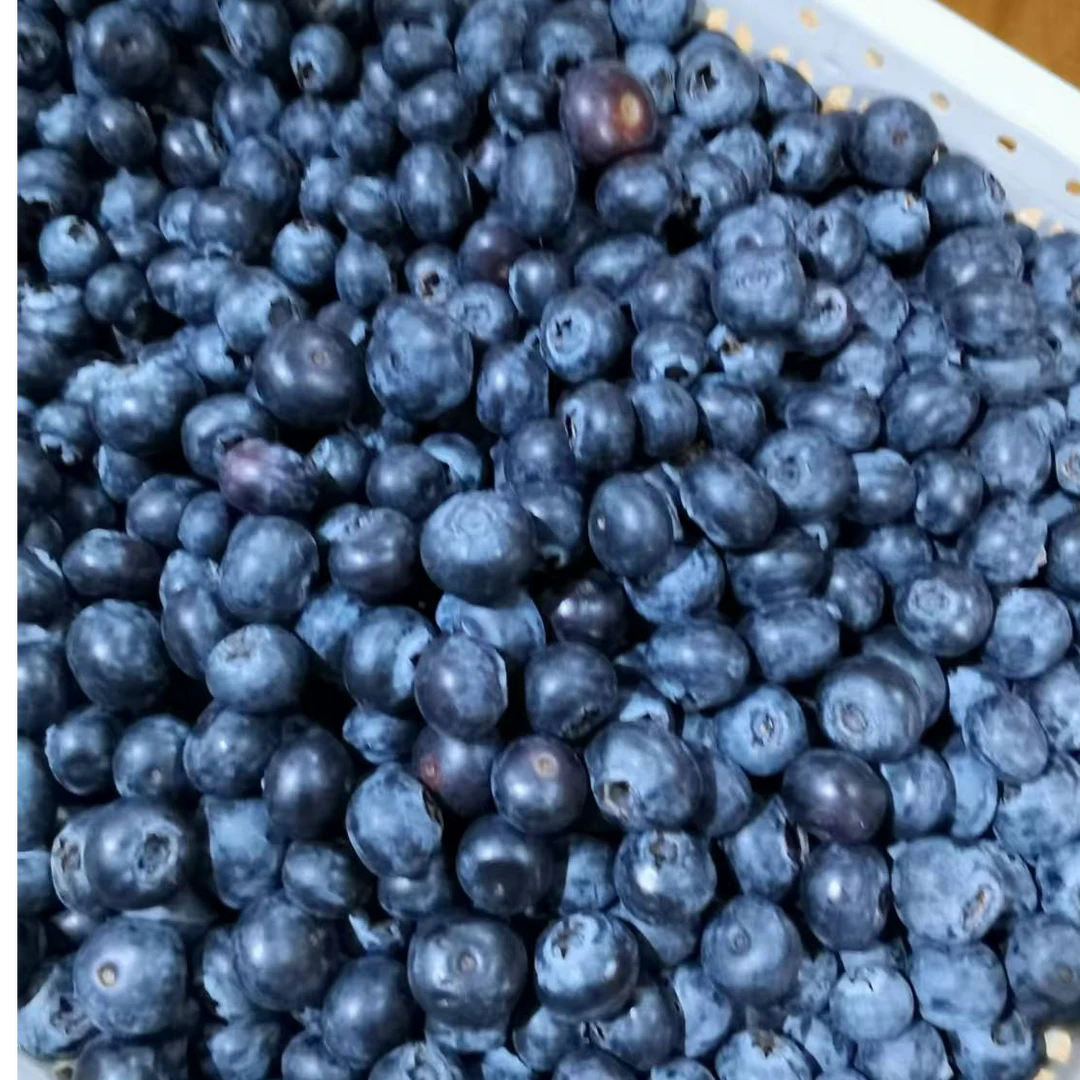 【散装300g】云南混果花香15mm蓝莓净重300g左右云南省