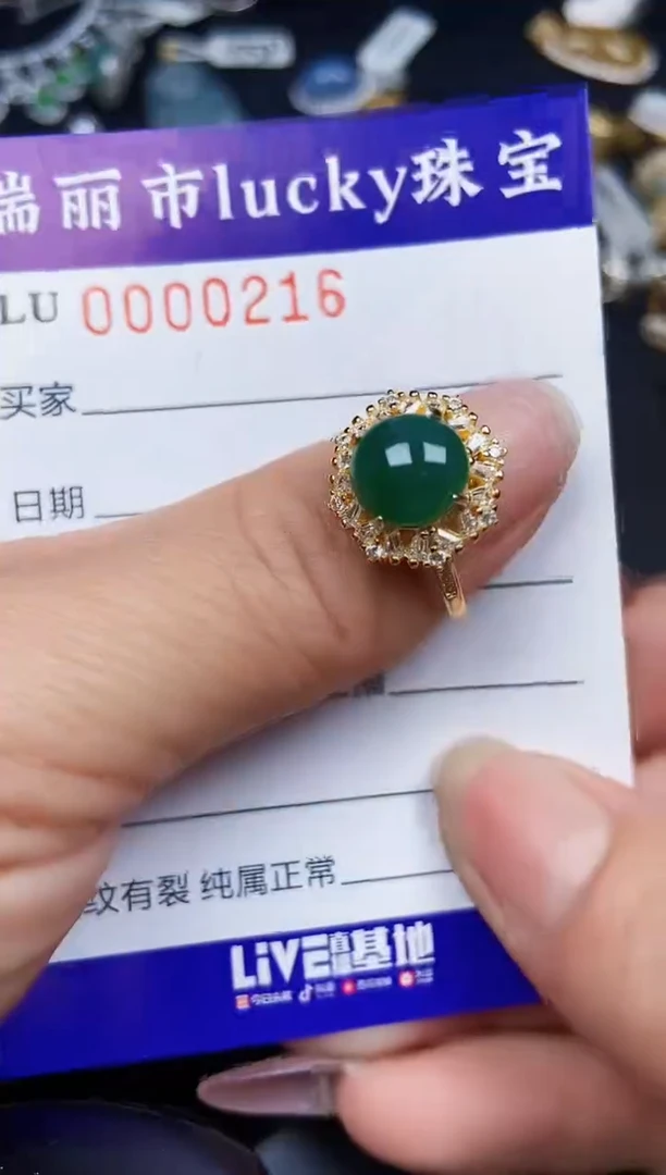 翡翠银S925镶嵌颈饰0216