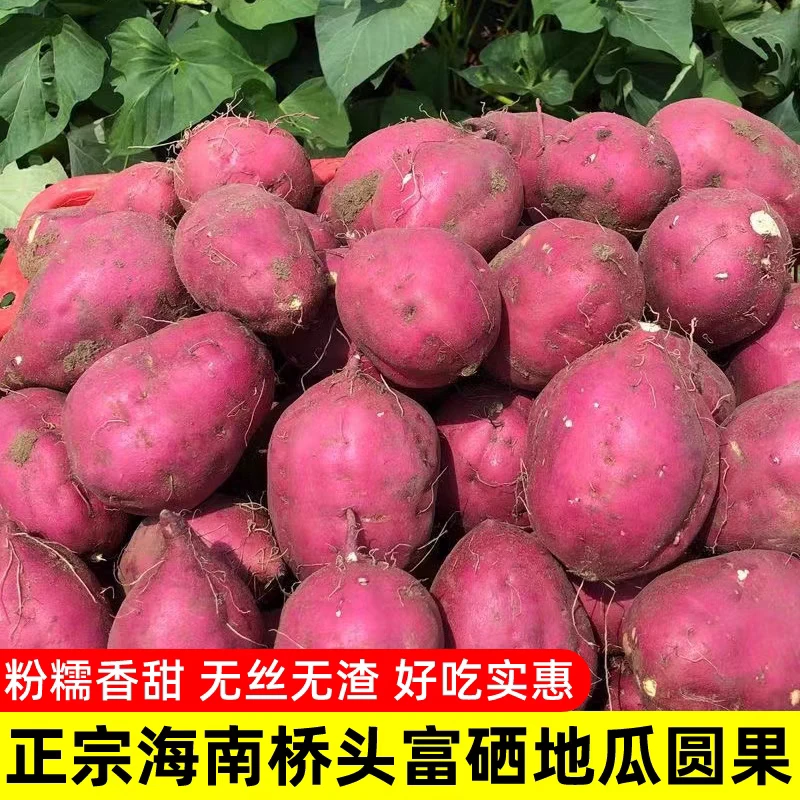 海南桥头地瓜正宗澄迈富硒沙地番薯中果产地直发新鲜黄心板栗红薯