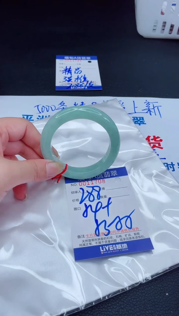 未镶嵌手镯翡翠我s1