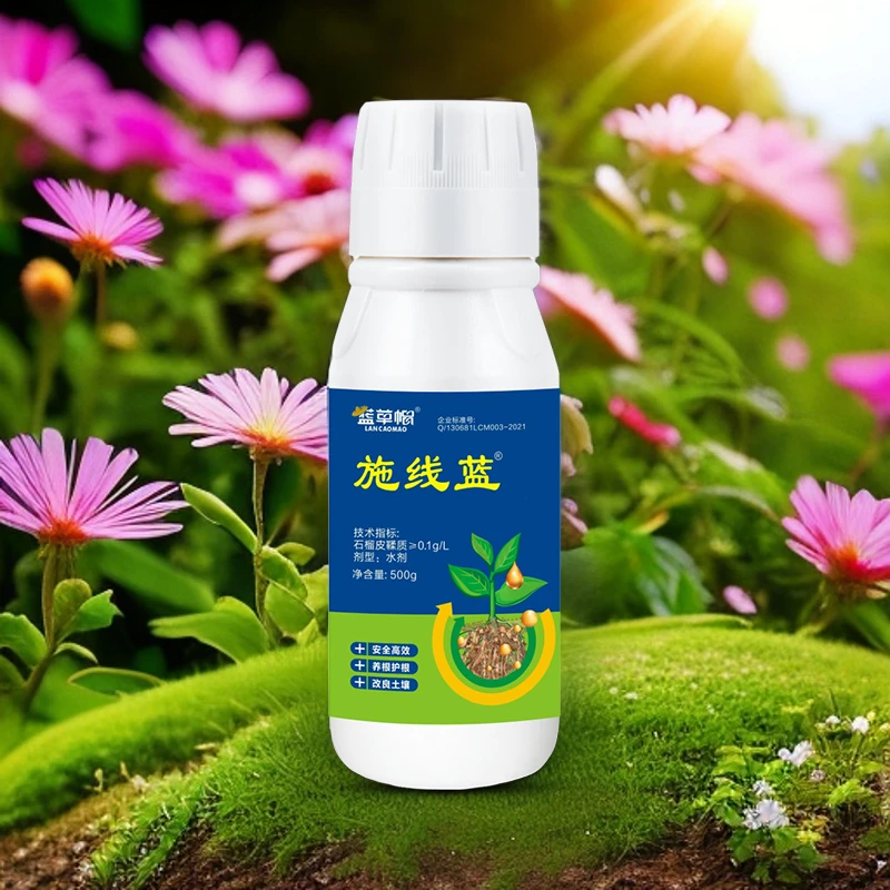 施线蓝 瓜果 蔬菜 绿植 农作物通用