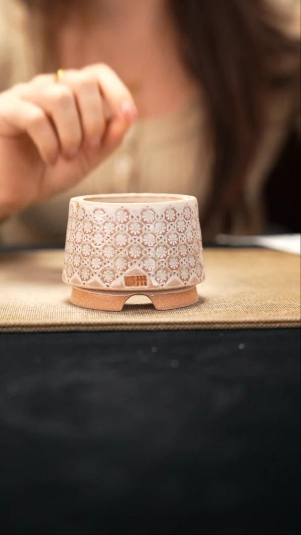 11-2-224花盆口径6特