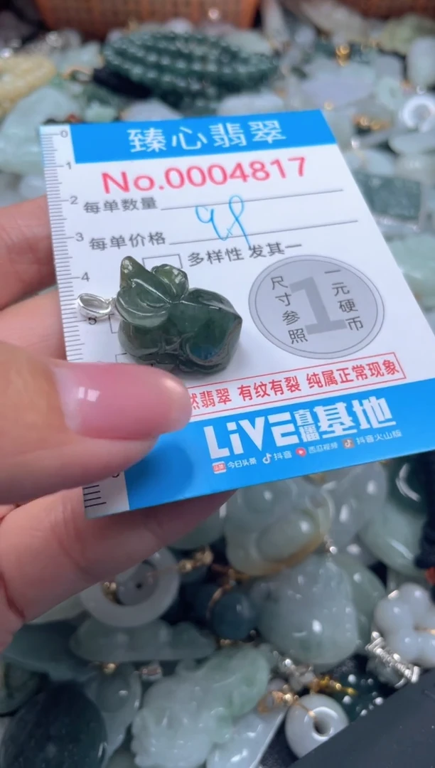 颈饰未镶嵌翡翠4817