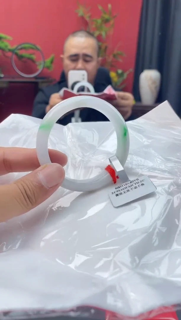 未镶嵌手镯翡翠8