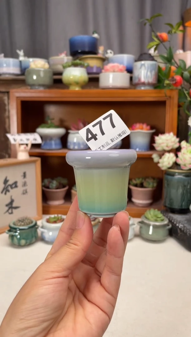 瓷片477知木小芳花盆