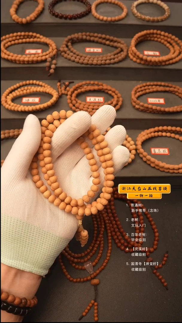 吊坠五线菩提微**了y脖挂