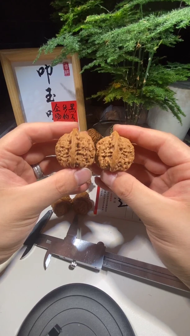 文玩核桃把件5号 39全品逐鹿南疆石