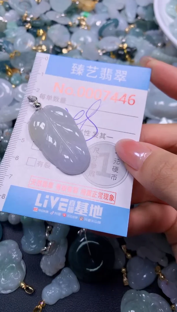 颈饰未镶嵌翡翠7446