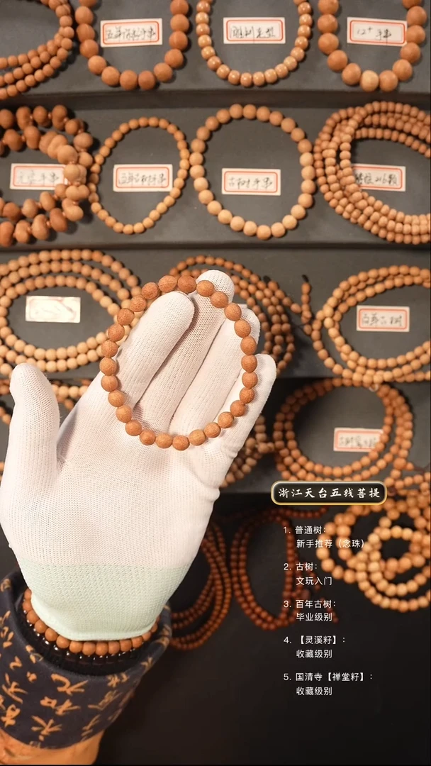 【闪购商品】五线菩提吊坠灵犀籽陈籽手串7.7左右尺寸