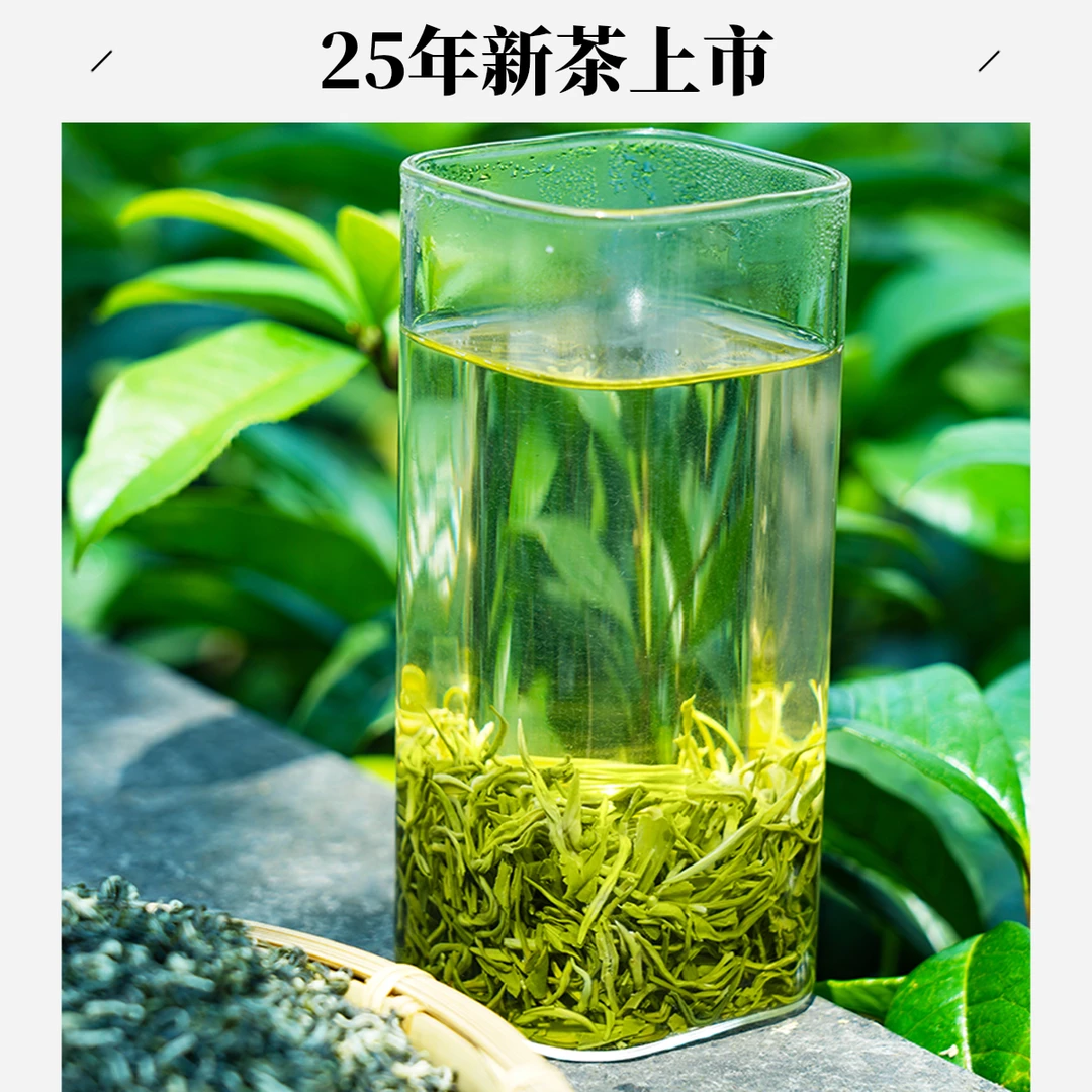 清漪湖25年新茶蒙顶山毛峰碧螺春绿茶茶叶栗香耐泡茶好茶