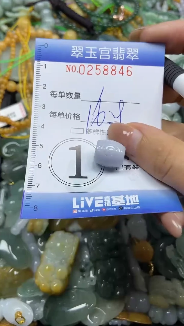 颈饰未镶嵌翡翠闪购C0258846