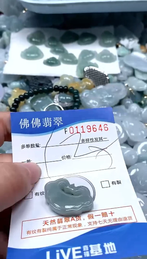 【闪购商品】翡翠颈饰未镶嵌闪购商品0119646