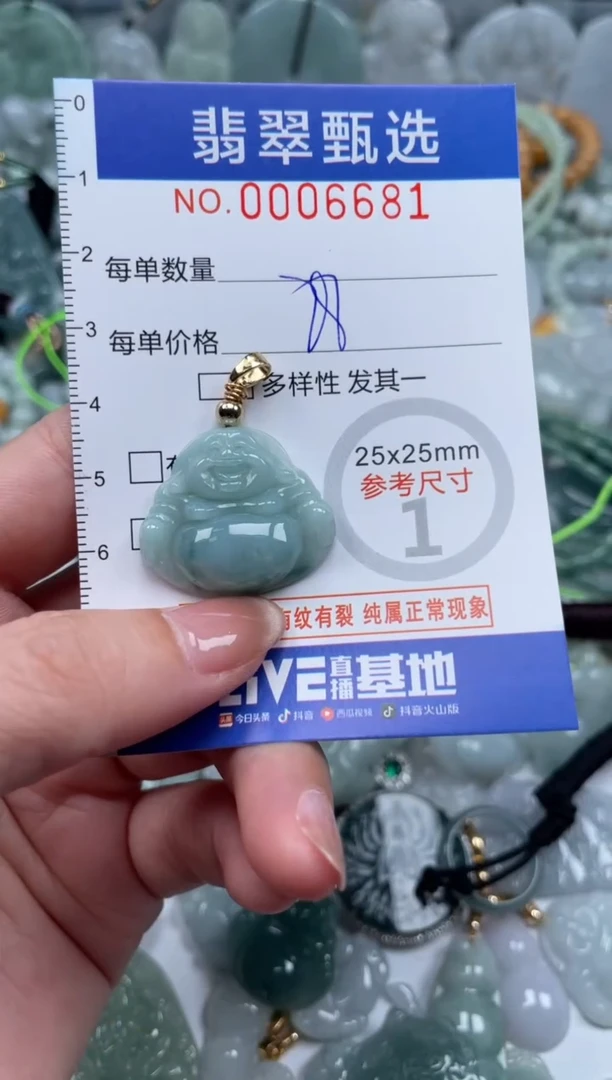 翡翠未镶嵌颈饰00..6681