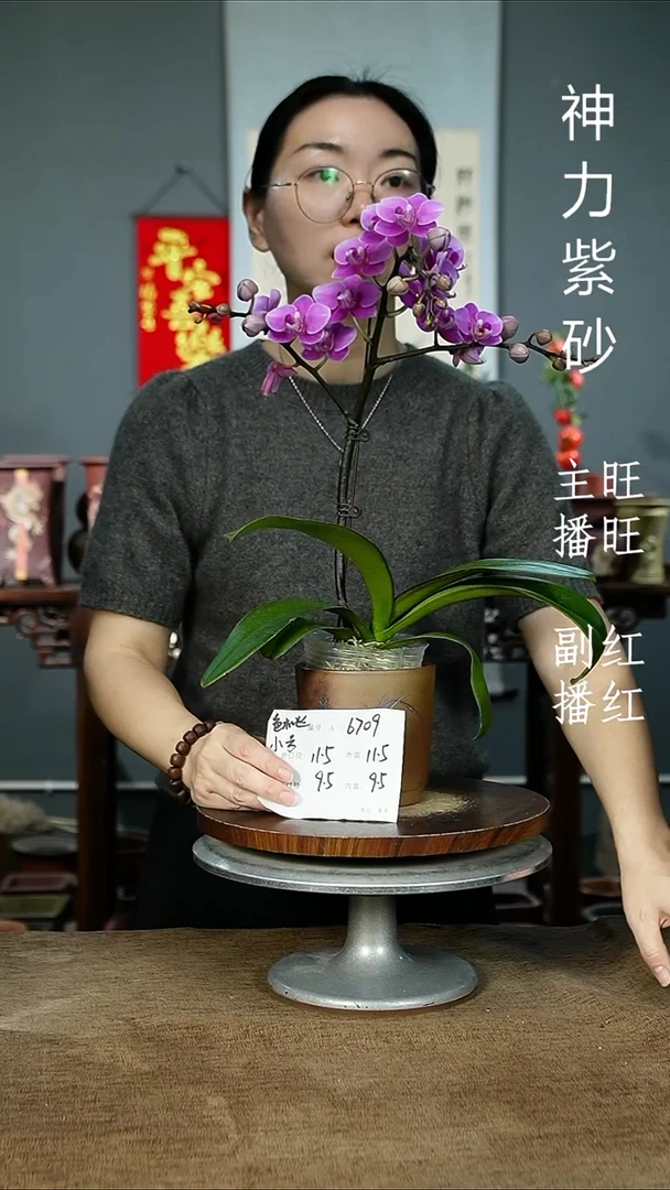 紫砂花盆6709紫砂花盆紫砂