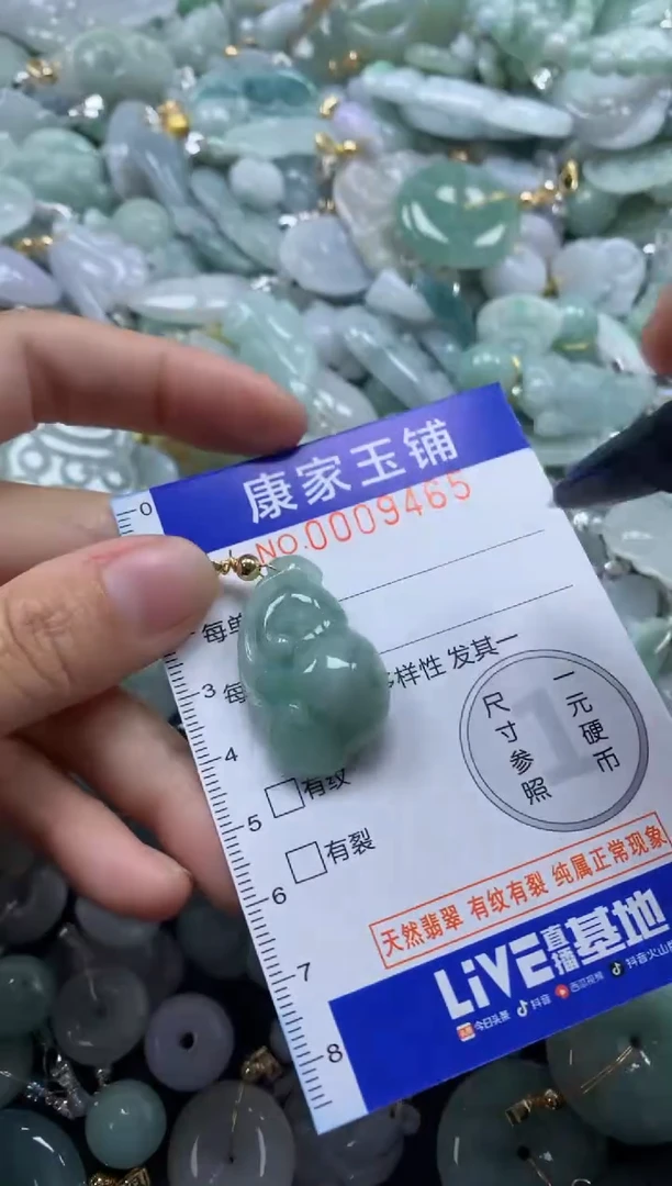 颈饰未镶嵌翡翠9465