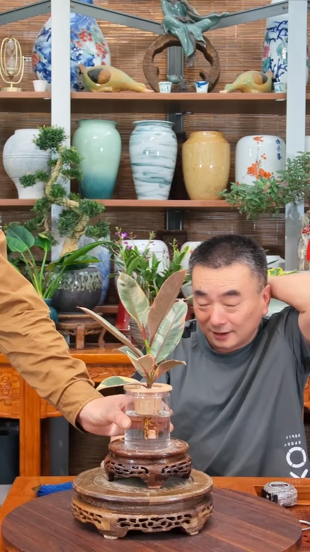 无花朵䰟水之韵水培红关公