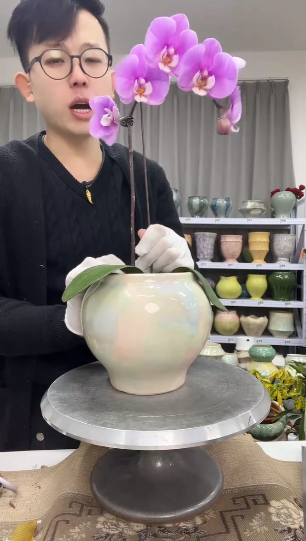 1.5花盆尺寸高：   16 口： 12